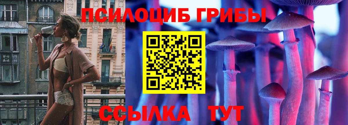 Саранск  Псилоцибиновые грибы мицелий  Вход с VPN 
